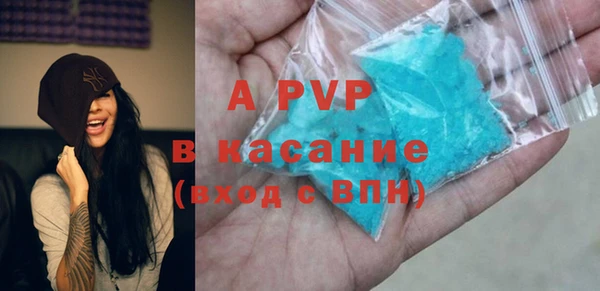 сатива Надым