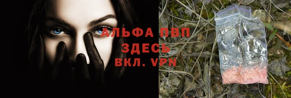 сатива Надым