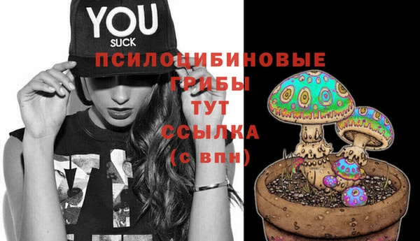 apvp Навашино