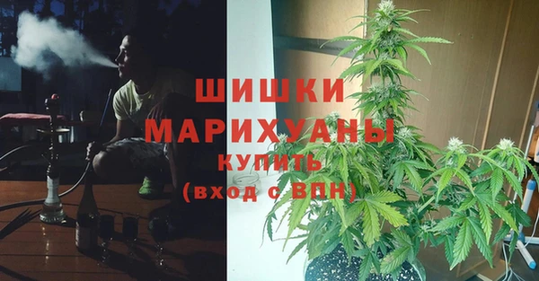 сатива Надым
