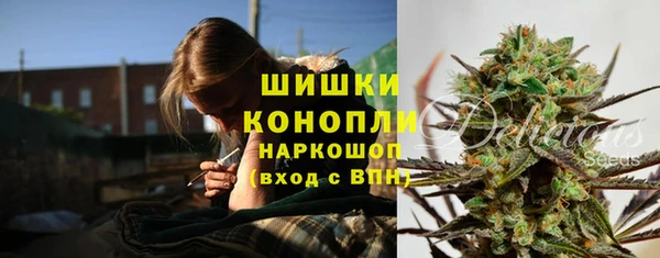 индика Нефтегорск